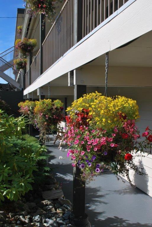 اوكلويلت Pacific Rim Motel المظهر الخارجي الصورة