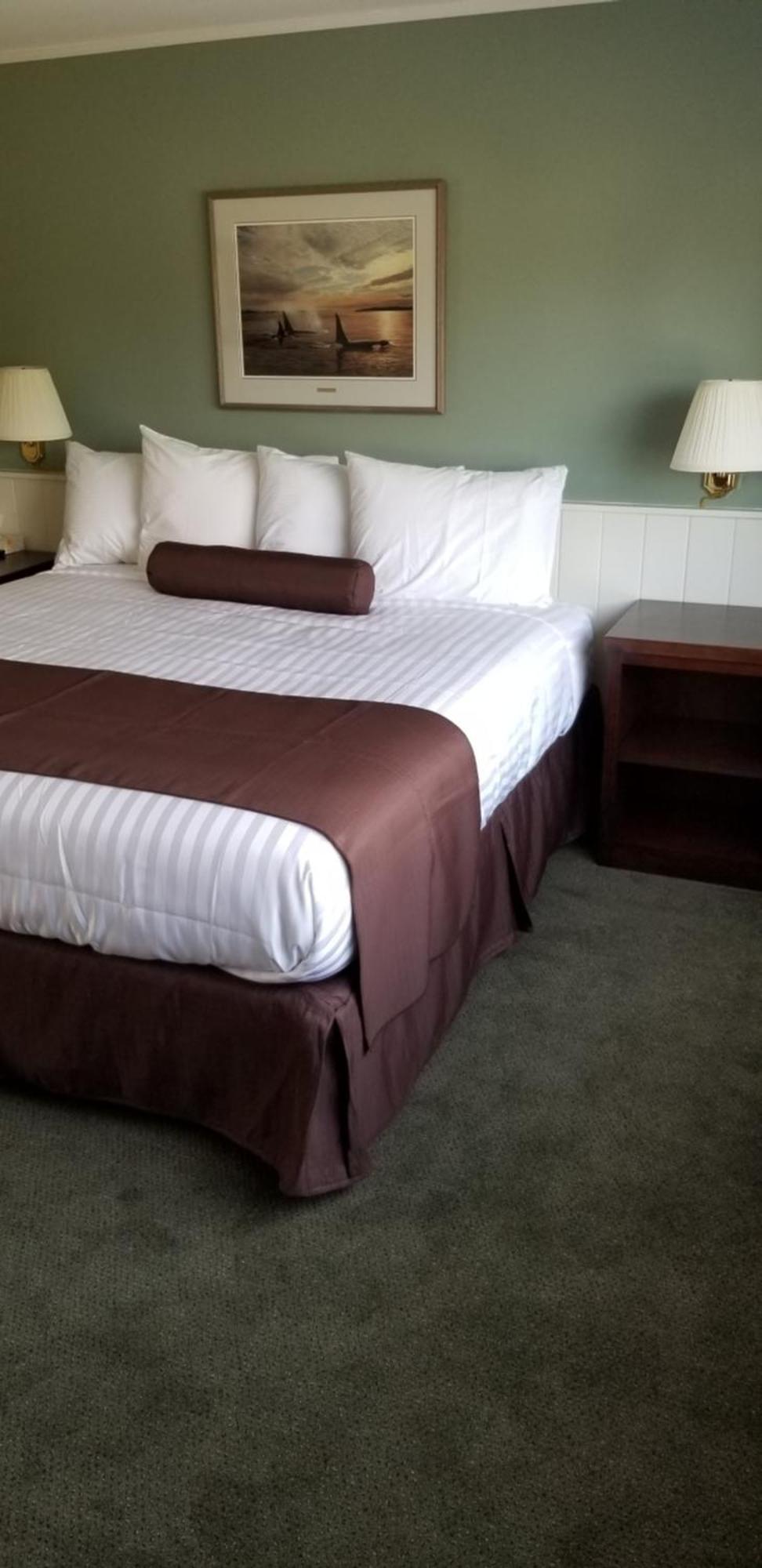 اوكلويلت Pacific Rim Motel المظهر الخارجي الصورة